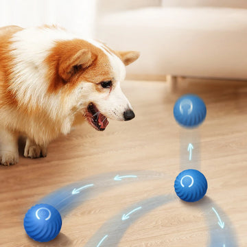 Smart Dog Toys Intelligent Gravity Jump Ball Rechargeable Bite-Resistant Rolling Ball Cat And Dog Chase Interactive Pet Toys